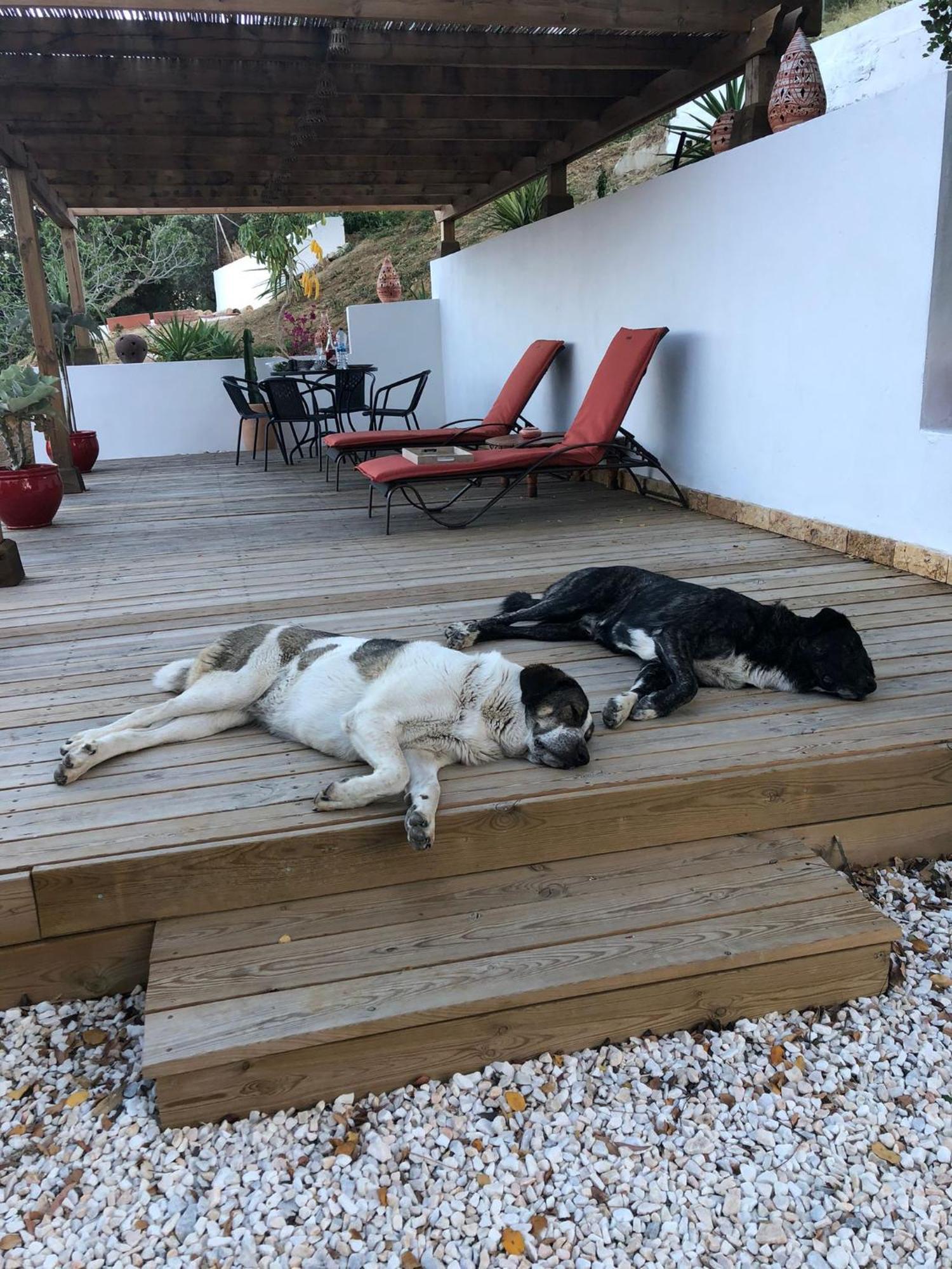 Valle de Abdalagís Finca Altozano - Private Pool - Unique Client מראה חיצוני תמונה