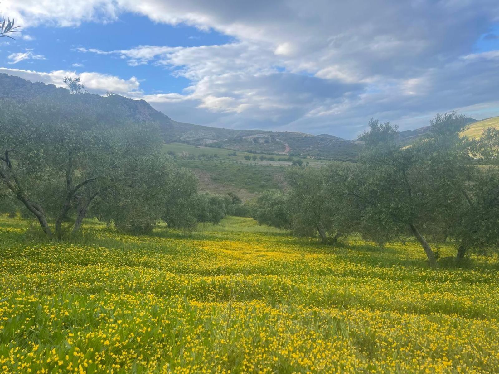 Valle de Abdalagís Finca Altozano - Private Pool - Unique Client מראה חיצוני תמונה